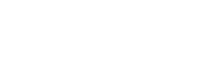 Acente Yazılım